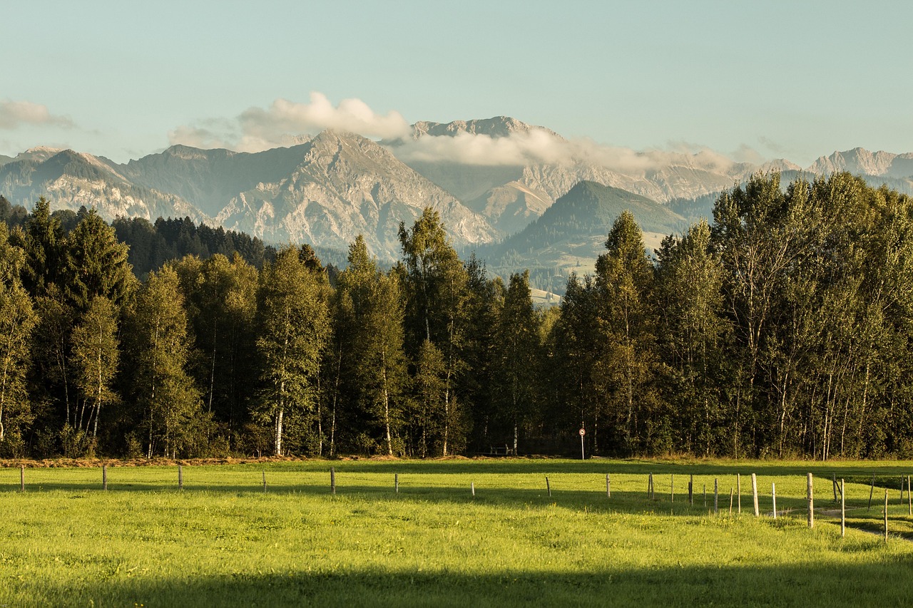 Zwischen Alpenidylle und Genuss  Dein Kurztrip ins Allgäu!