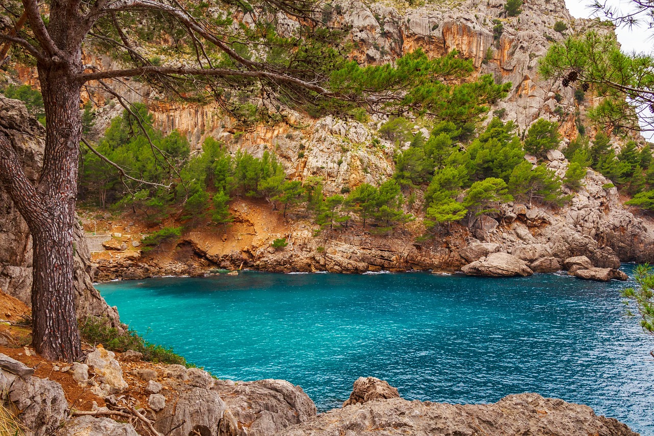 Last-Minute-Flüge nach Mallorca  Spontanurlaub gefällig?