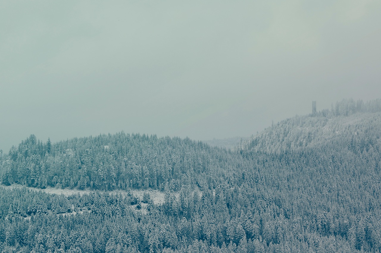 Du schlenderst durch Triberg, probierst regionale Köstlichkeiten und lässt die Seele baumeln.