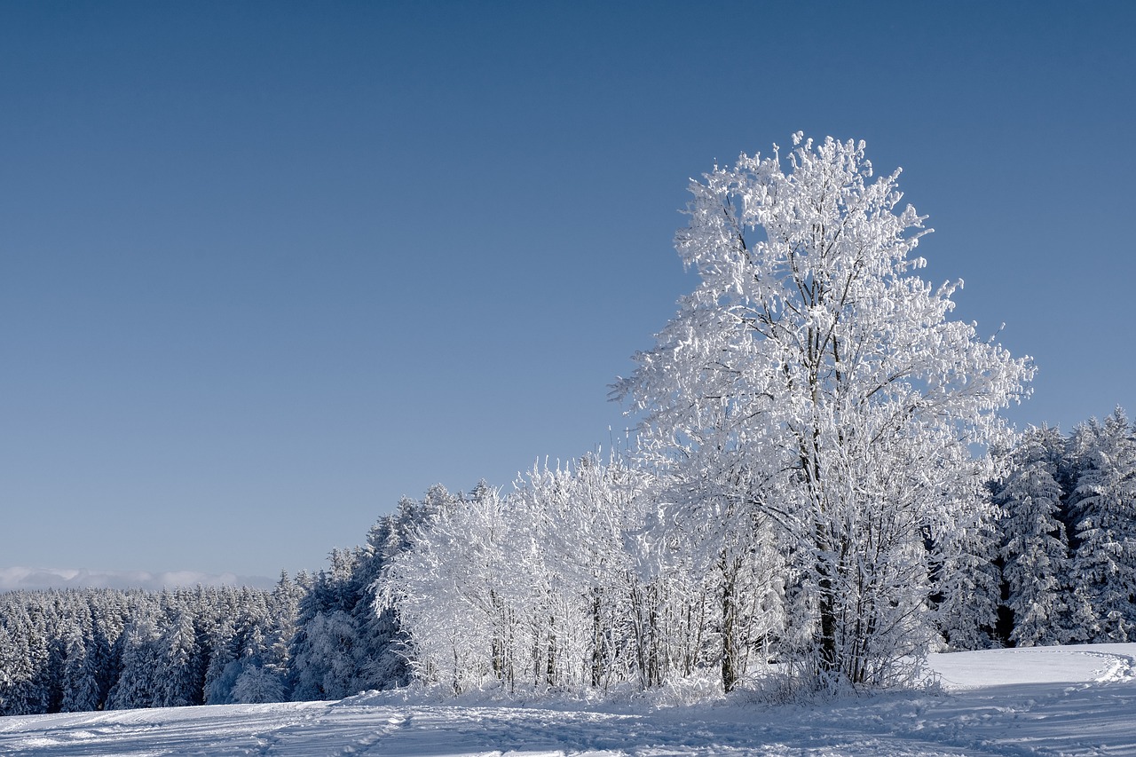 Last-Minute-Winterglück - spontan in den Schnee