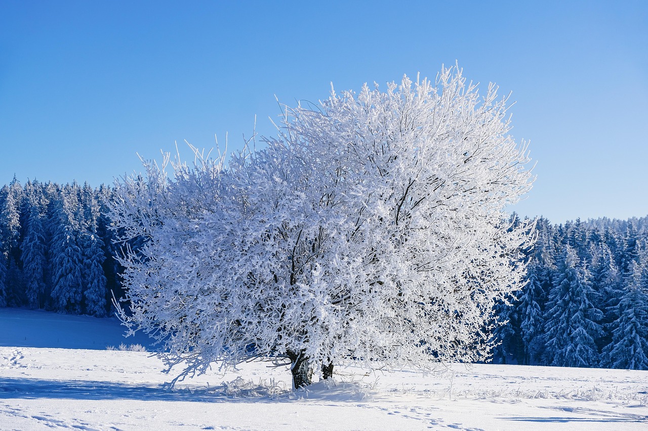 Sichere Dir jetzt ein tolles Angebot für den Winterurlaub!