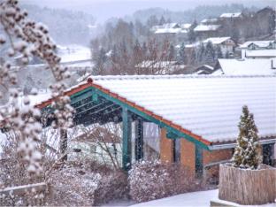 Holiday home with sauna in Viechtach