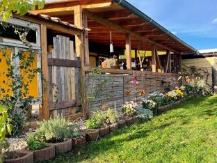 Holiday home near the Braunlage ski resort