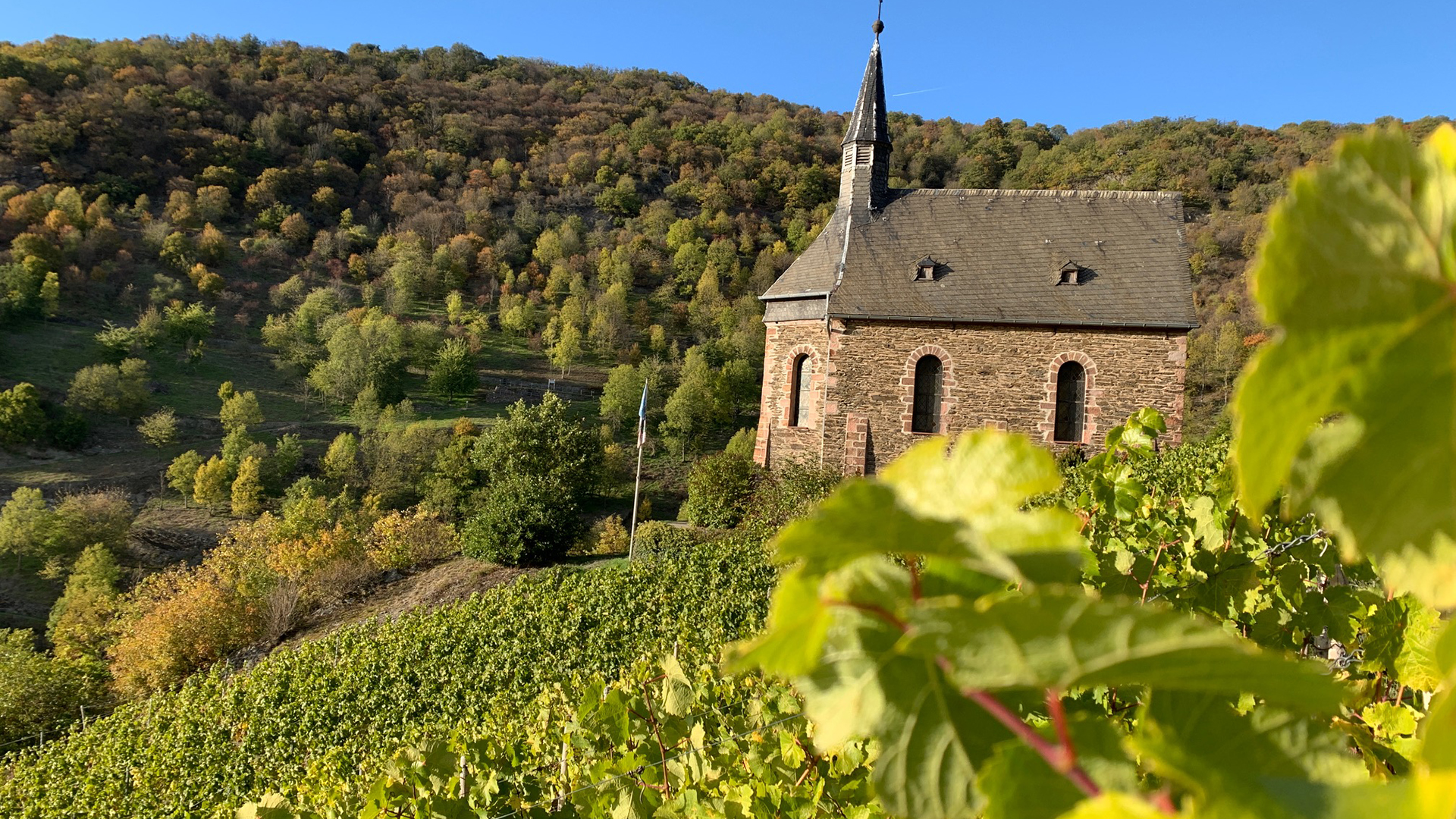 Weinbergwanderung Lorch