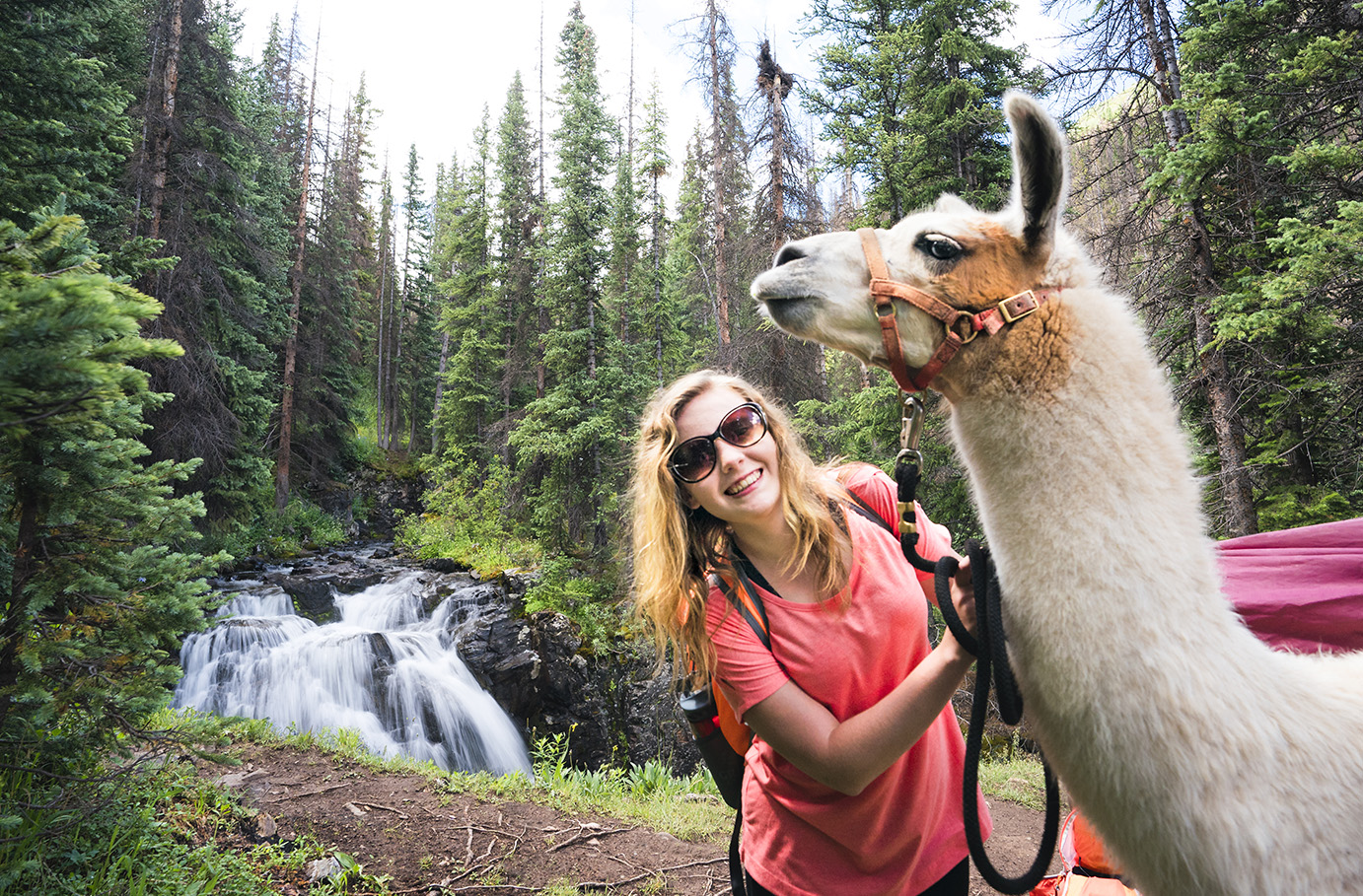 Lama-Trekkingtour