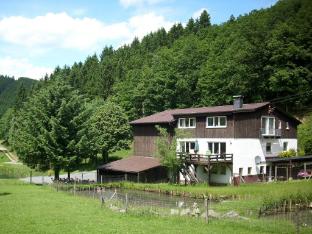 Apartment in Bruchhausen with Terrace