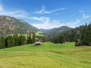 Picturesque studio in Sibratsgfall with garden