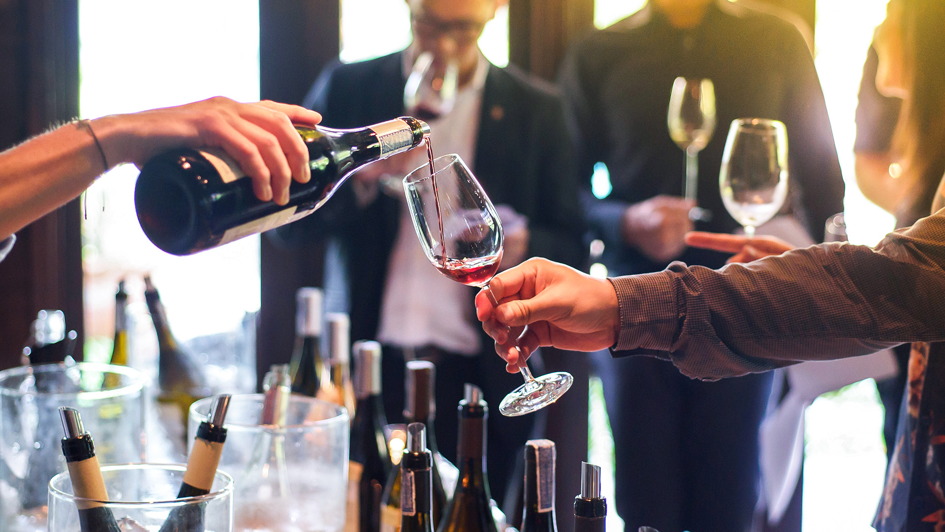 Weinseminar Bonn