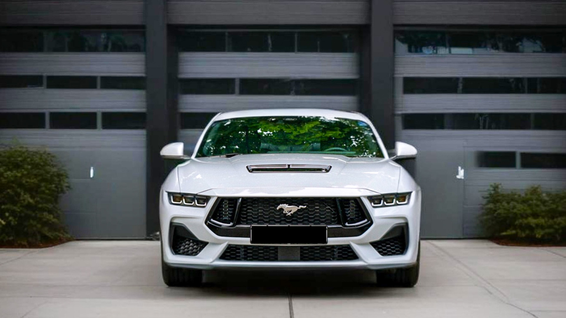 Ford Mustang mieten Hattersheim am Main (8 Std.)