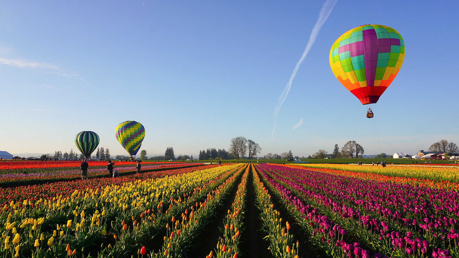 Ballonfahren Norddeutschland
