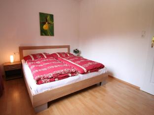 Apartment near the Wilder Kaiser ski area