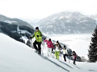 Apartment in Zell am See near ski resorts