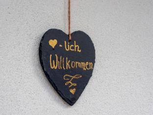 Apartment to the Zillertal near Fugen