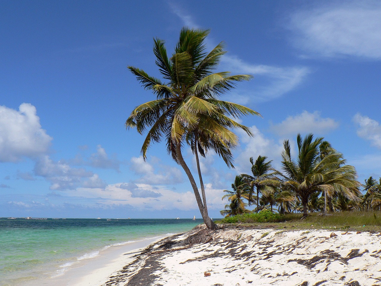 Familienurlaub in Punta Cana  Kinder willkommen, Eltern entspannt!