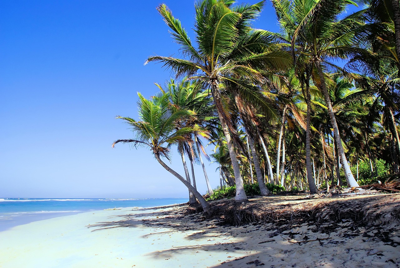 Punta Cana für Entdecker - Tauchgänge, Dschungeltouren & mehr!