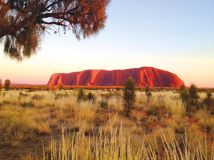 Kombinationsreisen Australien & Neuseeland: Sydney, Ayers Rock & Milford Sound entdecken