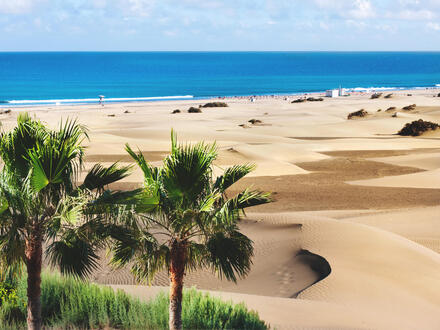 Kreuzfahrten Kanarische Inseln: Kreuzfahrt mit AIDAluna ab/bis Gran Canaria mit 5 Nächten Hotelaufenthalt