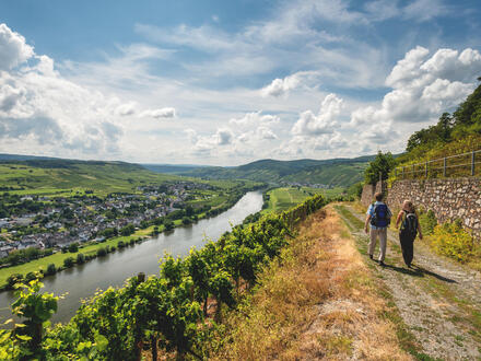 Eigene Anreise Moselsteig: Wandern vom Moselpanorama zum Rheinblick