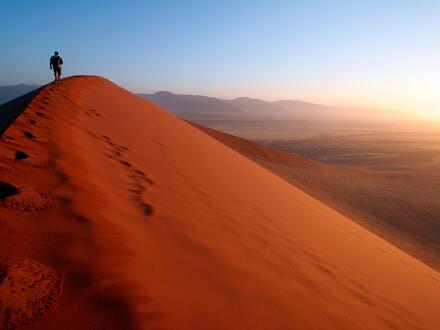 Rundreisen Namibia: Wildnis erleben: Von Dünen zu Savannen