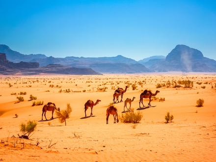 Erlebnisreisen Jordanien: Unterwegs auf königlichen Pfaden