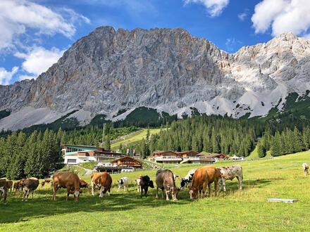 Eigene Anreise Deutschland & Österreich - Zugspitze: Erlebnisse von der Partnachklamm bis zum Eibsee
