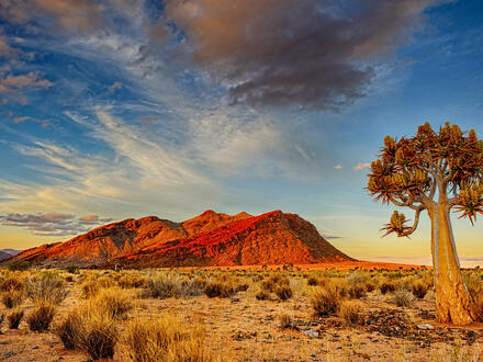 Rundreisen Namibia: Auf den Spuren wilder Natur und faszinierenden Kulturen