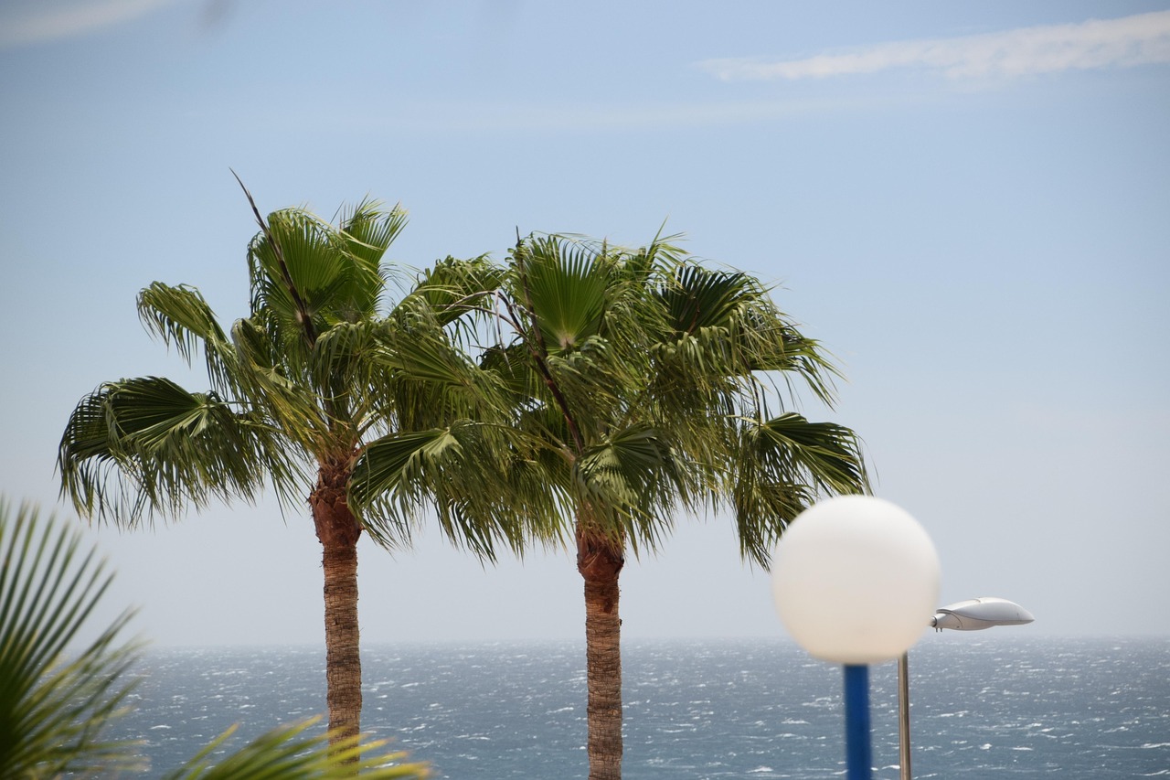 Starte in dein Inselabenteuer  buche jetzt deinen Partyurlaub in Playa del Inglés und feiere los!