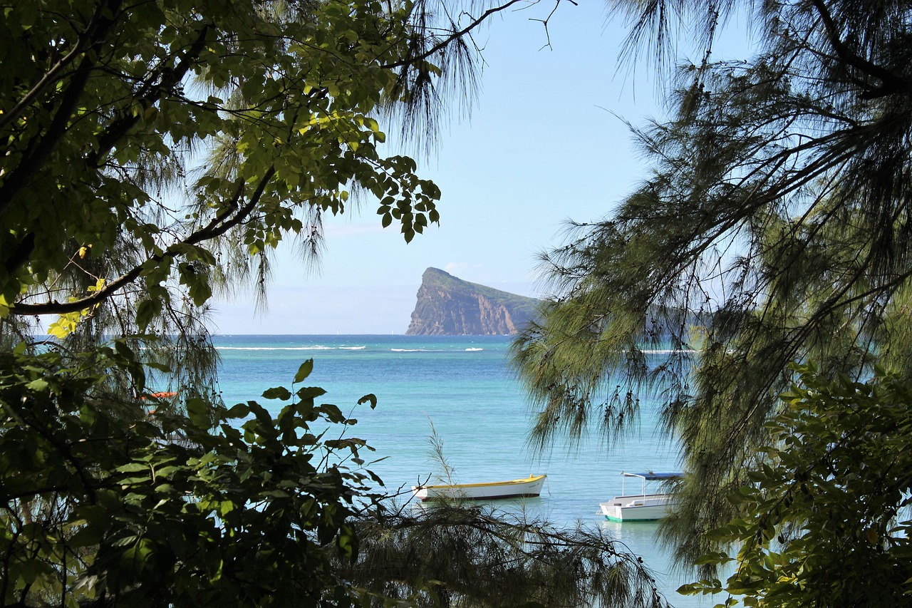 Träume nicht vom Inselparadies  erlebe Mauritius live!