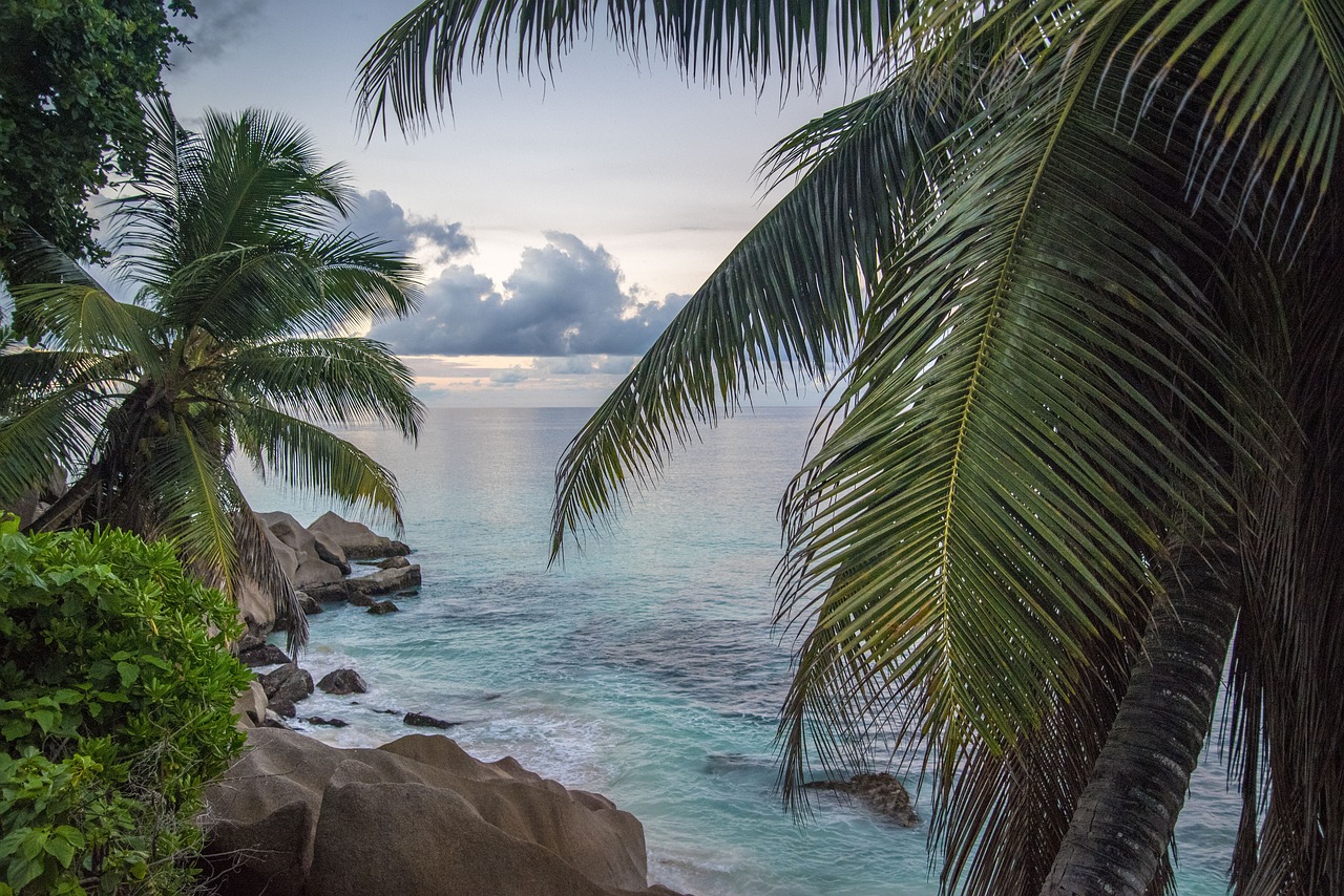 Jetzt bist Du dran entdecke die Seychellen und Dich selbst neu!
