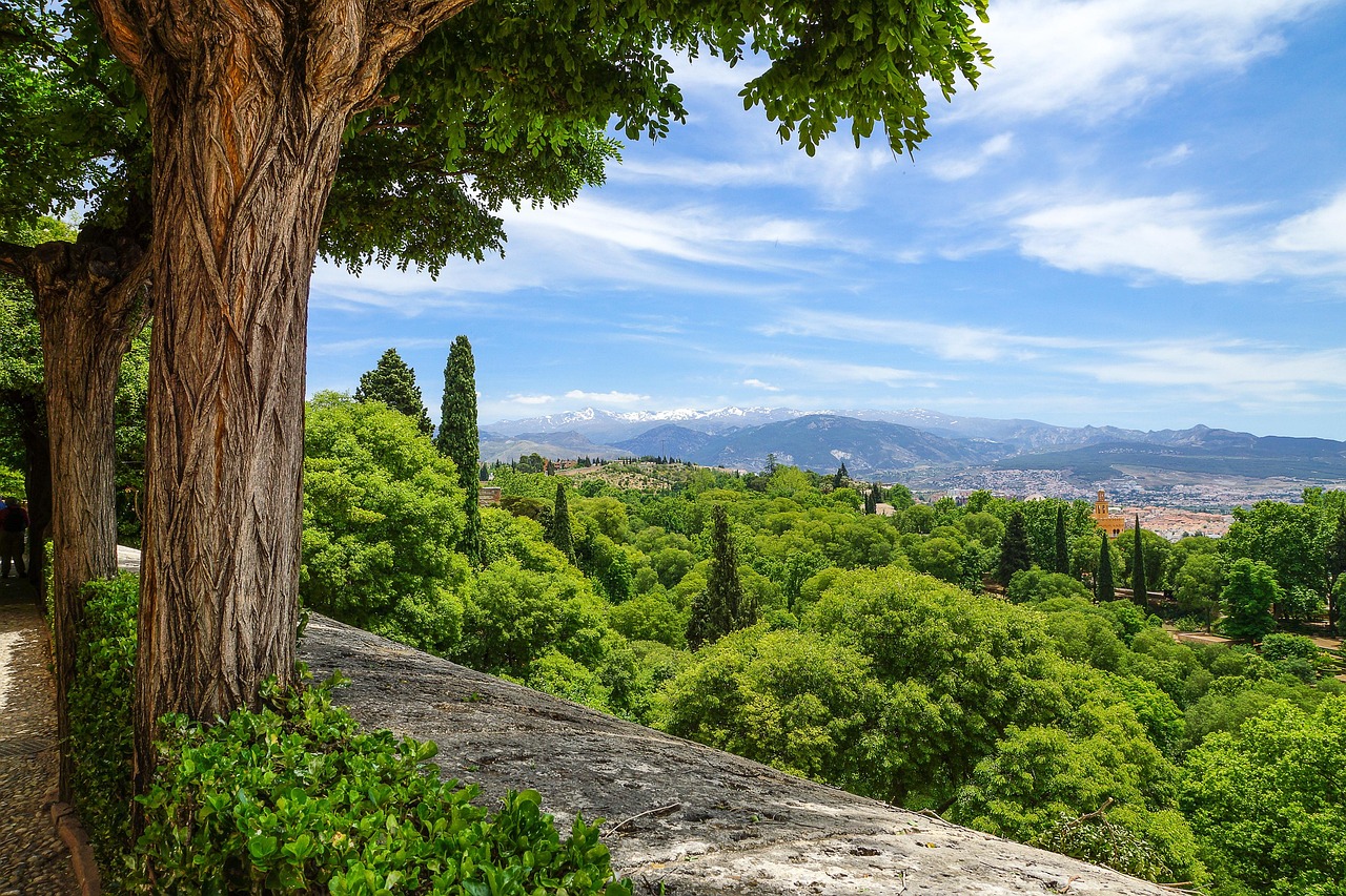 Andalusien entdecken! Buche jetzt eine unvergessliche Reise!