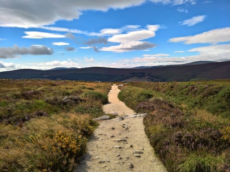 Rundreisen Irland : Individuelle Rundreise ab/an Dublin: Wandern in den Wicklow Mountains