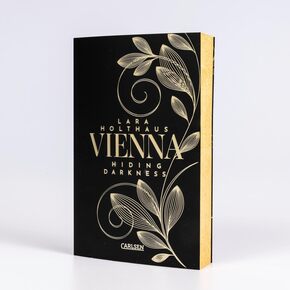 Vienna 2: Hiding Darkness