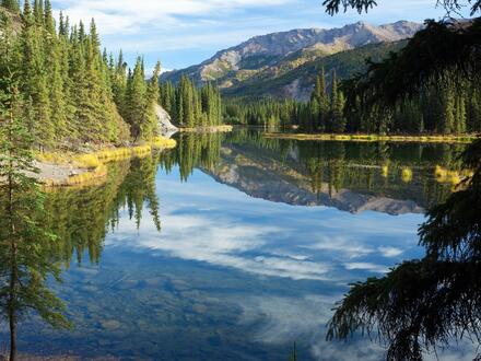 Kombinationsreisen USA - Alaska: Rundreise von Anchorage bis Whittier & Kreuzfahrt mit der Nieuw Amsterdam
