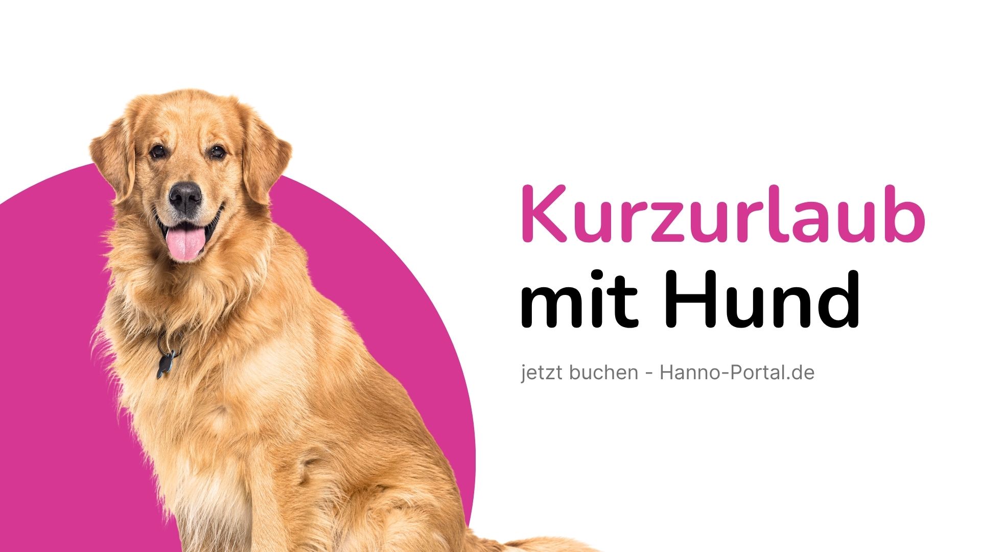 Familienurlaub mit Hund  gemeinsam glücklich verreisen