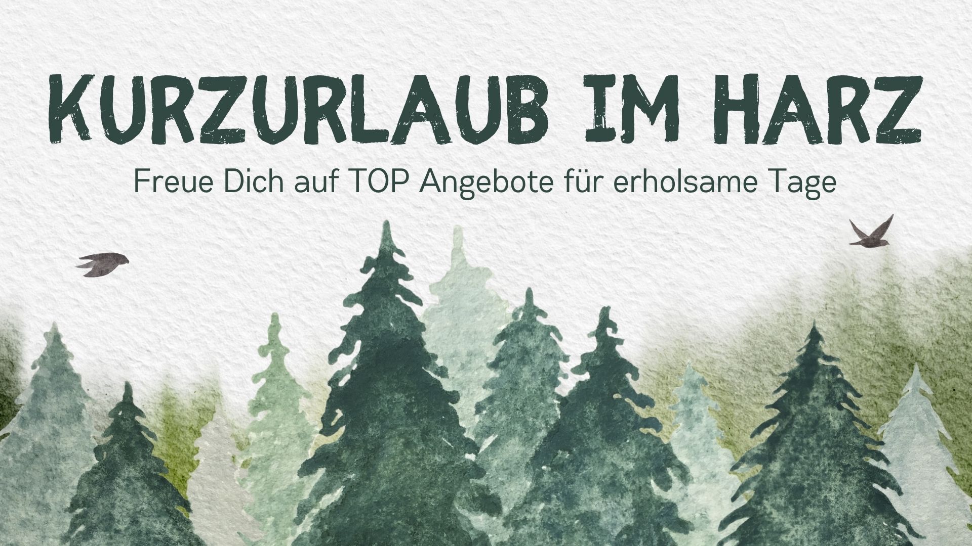 Kurzurlaub im Harz  Deine Auszeit zwischen Bergen, Wäldern und märchenhaften Städten!