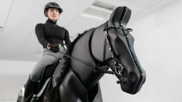 Reitsimulator Göttingen