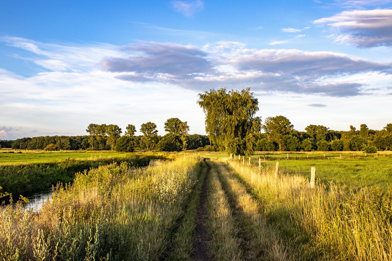 Boßeln in Niedersachsen