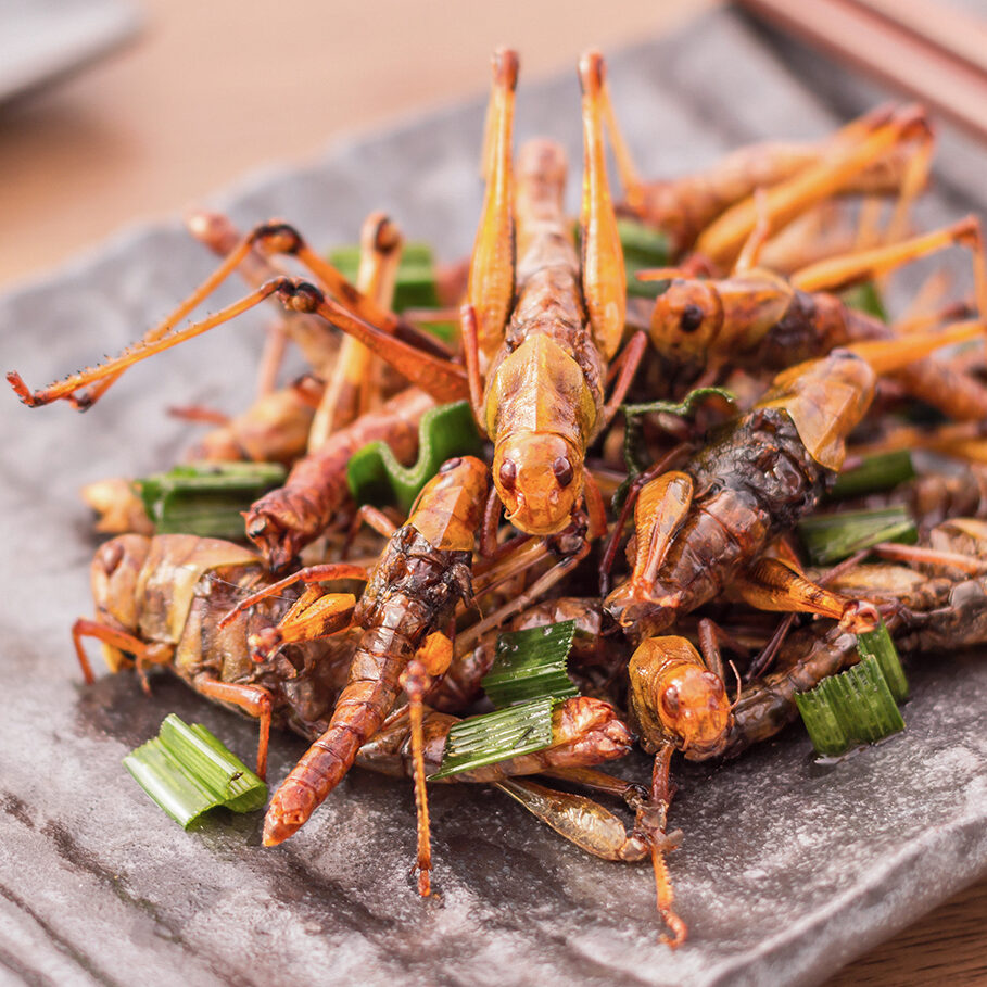 Fried insects - Wood worm insect crispy with pandan after fried and add a light coating of sauce and garnish Thai pepper powder with chopsticks, tea, on wooden background, Select focus