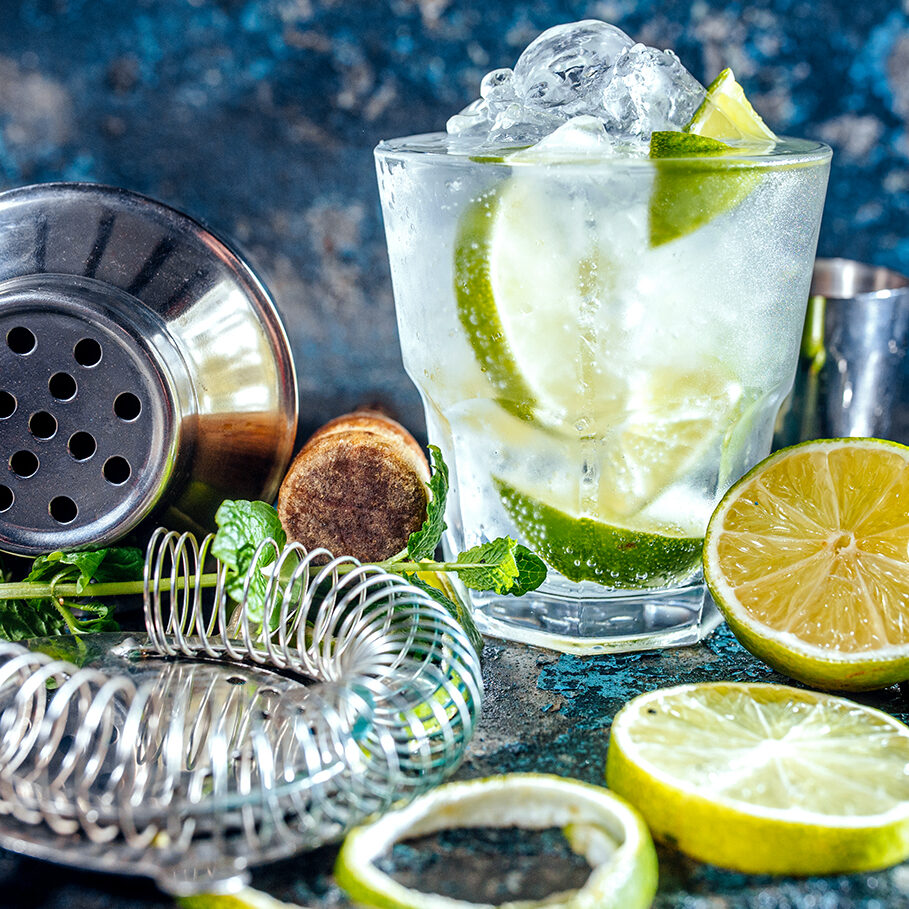 Gin tonic alcoholic cocktail with ice and mint. Cocktail drinks served at restaurant, pub or bar