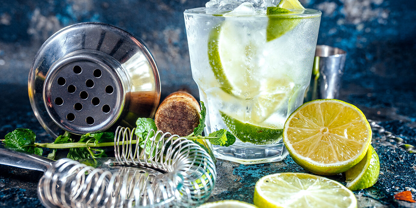 Gin tonic alcoholic cocktail with ice and mint. Cocktail drinks served at restaurant, pub or bar
