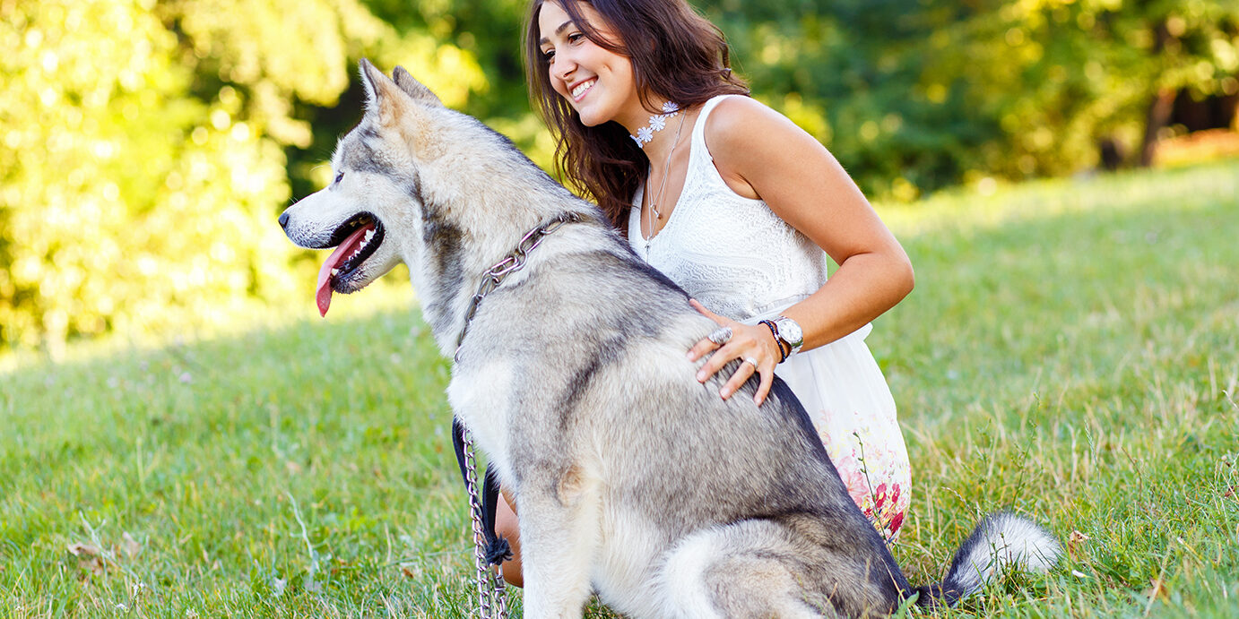 Young woman playing with her dog in the park. Young brunette woman playing with her dog in the park.