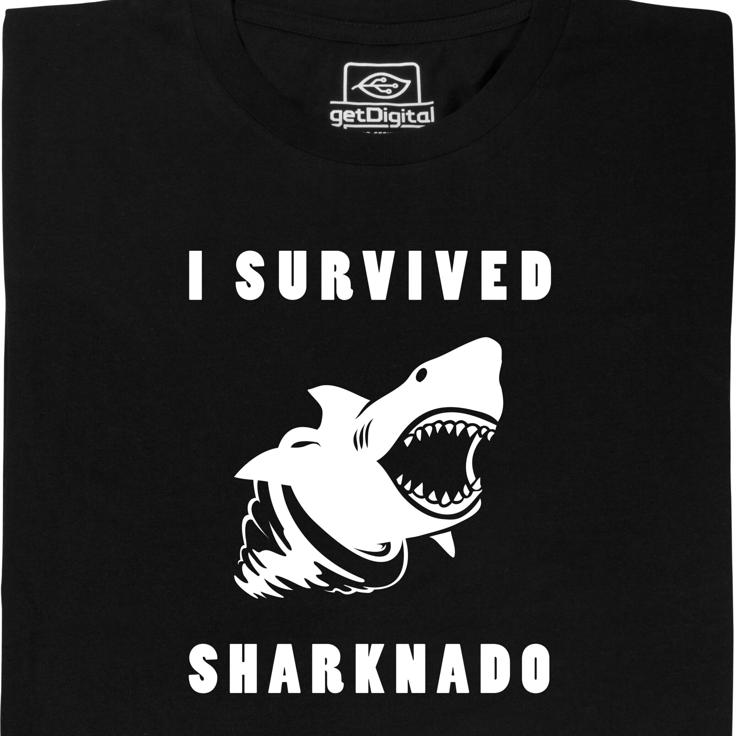 1205812058Sharknado