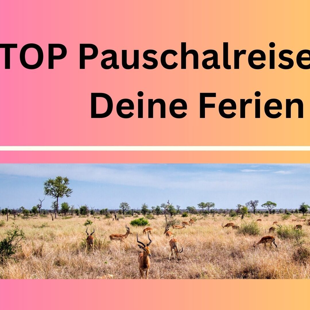 17_TOP_Pauschalreisen_für_Deine_Ferien