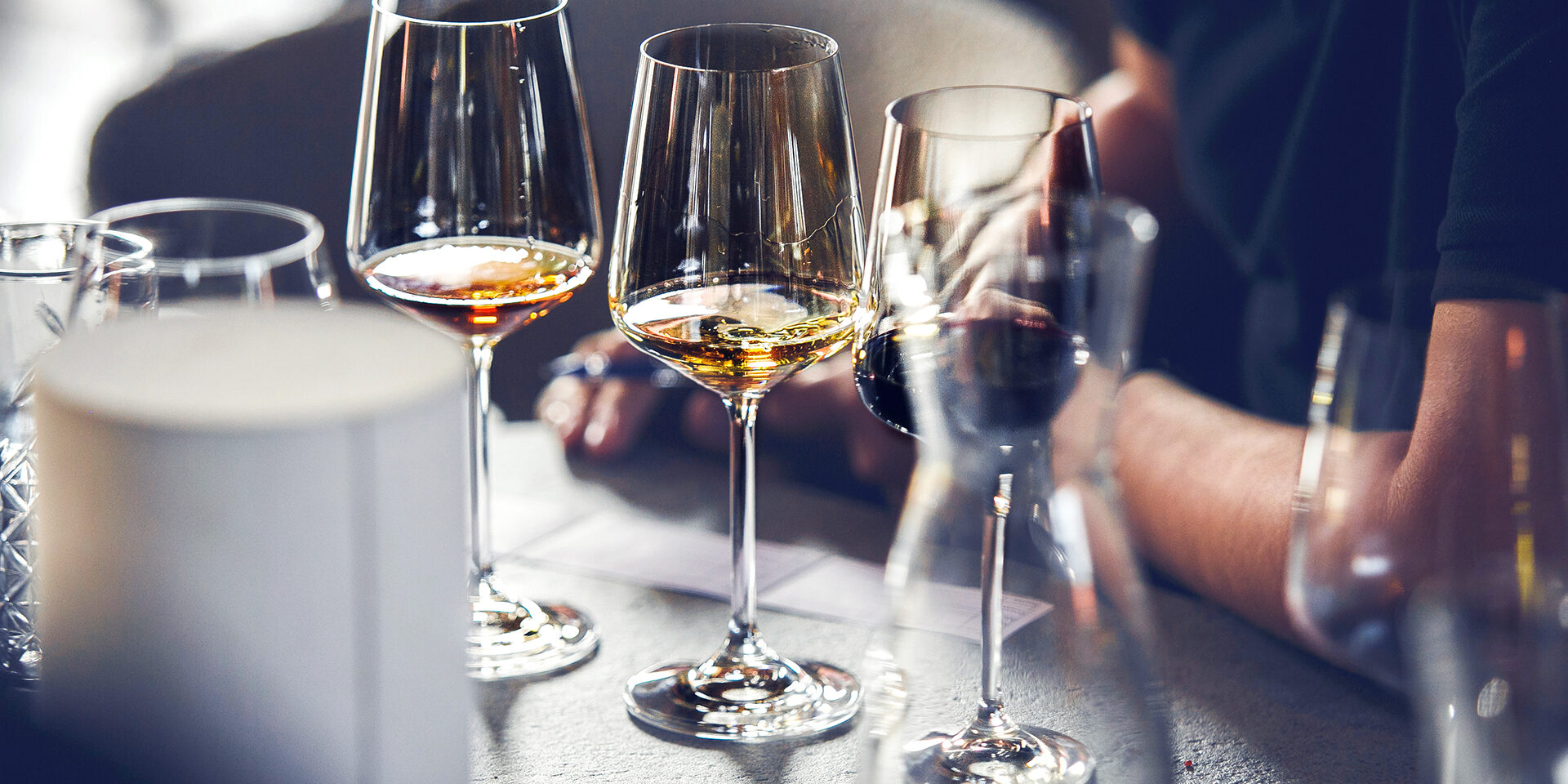 Blind wine tasting, Sommelier passes training for get the certification. Wine waiter school, winemaking lecture. Sommelier passes training for get the certification. Blind wine tasting. Wine waiter school, winemaking lecture. Sommelier courses for beginners and experienced.