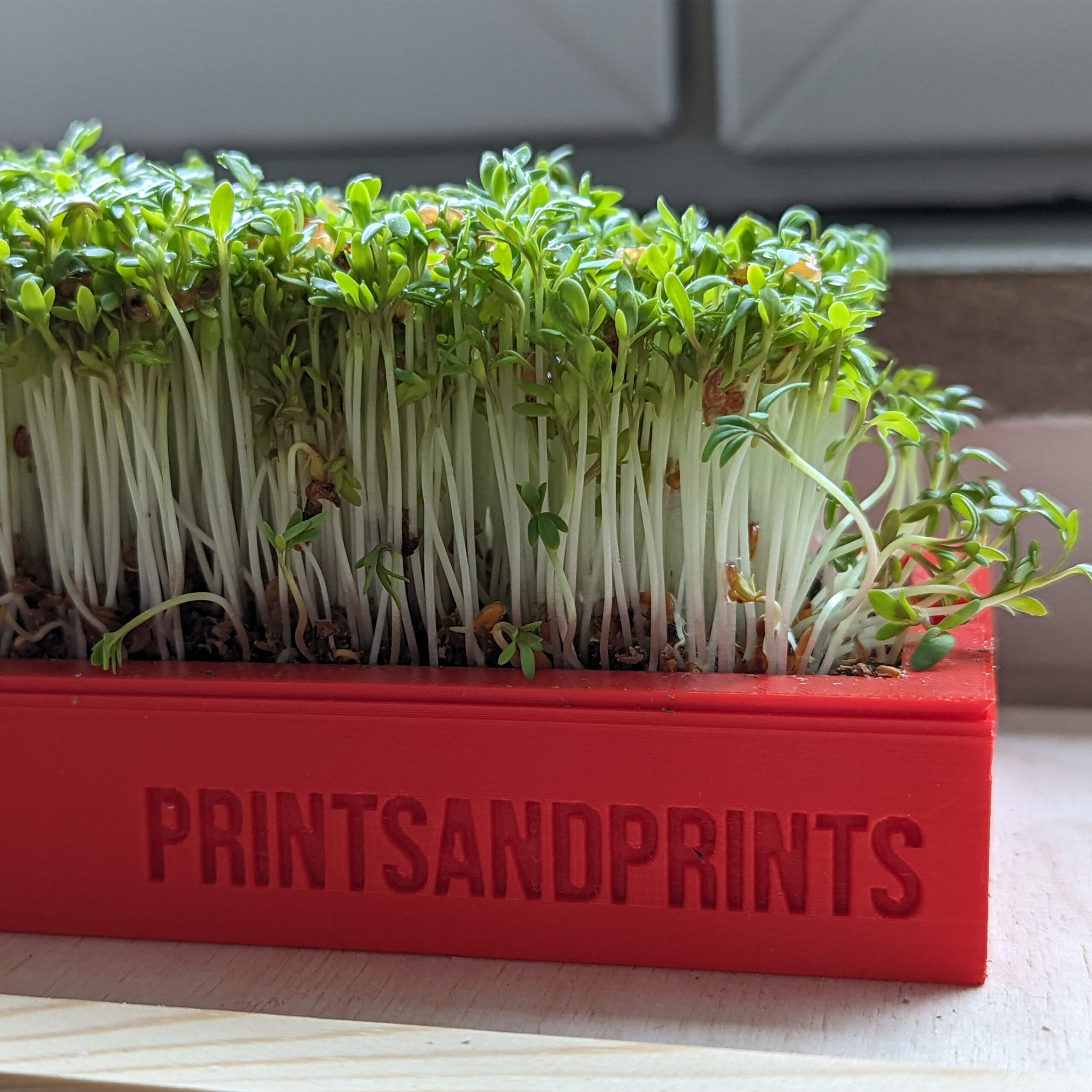 20535microgreens_lifestyle