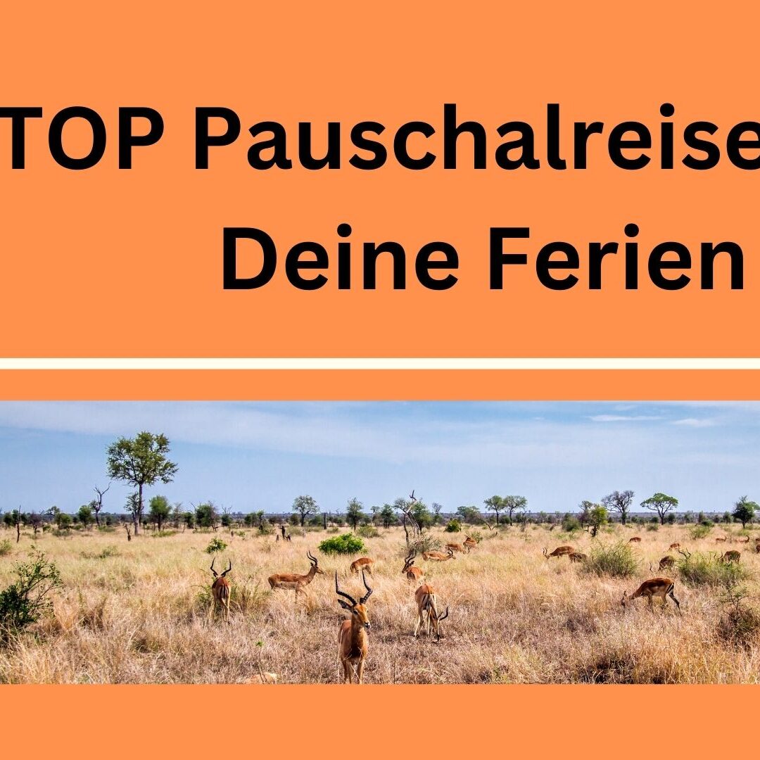 20_TOP_Pauschalreisen_für_Deine_Ferien