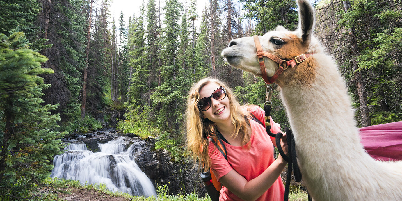 Girl and llama beside waterfall in Colorado mountains Smiling blond teenage girl with a white llama in the San Juan Mountains on the Highland Mary Lakes trail beside a waterfall, Weminuche Wilderness, Rocky Mountains, Silverton, Colorado, USA