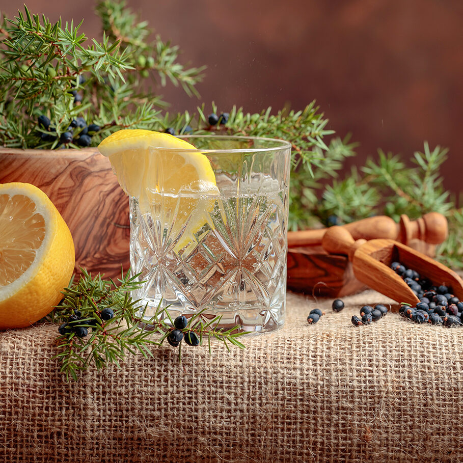 Cocktail gin, tonic with lemon and a branch of juniper with berries. Copy space for your text.