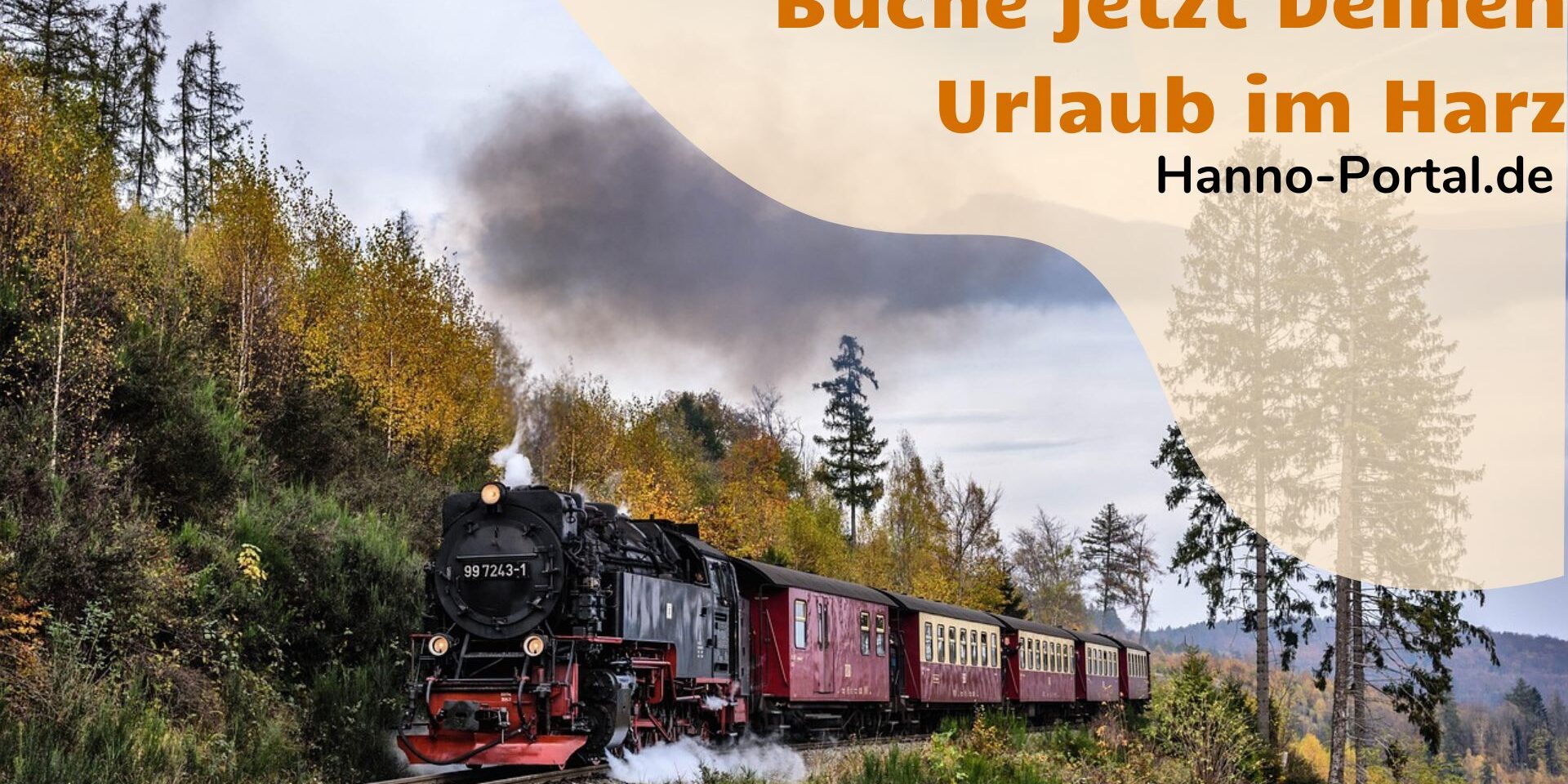 31-harz-260425 31-harz-260425