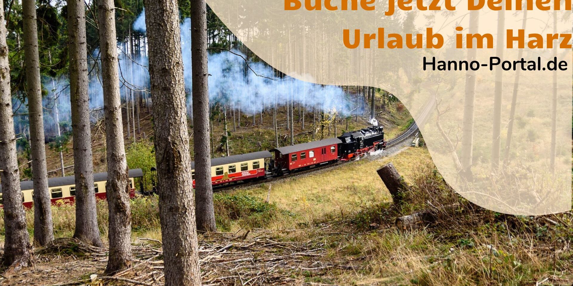 33-harz-260425 33-harz-260425
